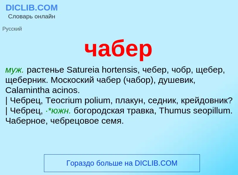 What is чабер - definition