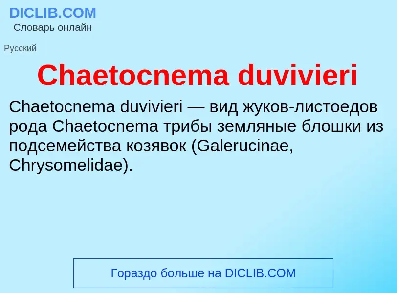 Что такое Chaetocnema duvivieri - определение