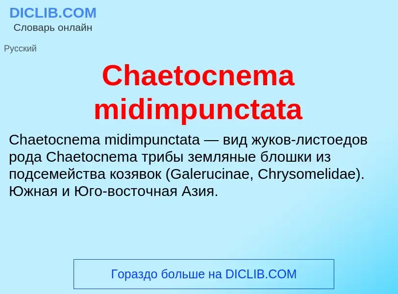 Что такое Chaetocnema midimpunctata - определение