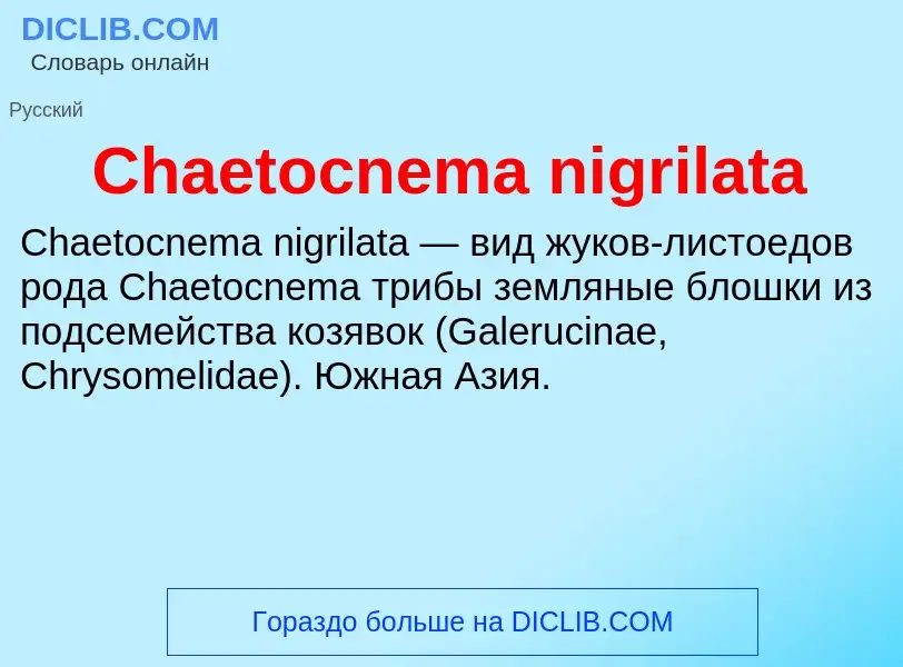 Что такое Chaetocnema nigrilata - определение