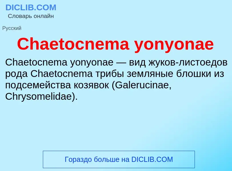 Что такое Chaetocnema yonyonae - определение