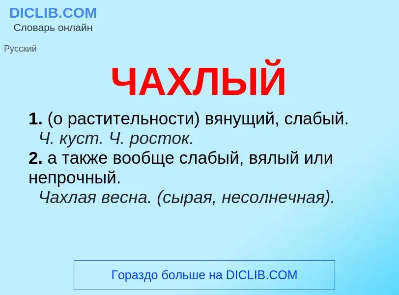 What is ЧАХЛЫЙ - definition