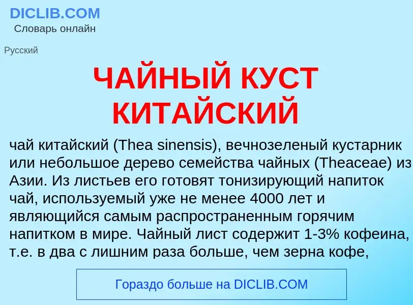 Что такое ЧАЙНЫЙ КУСТ КИТАЙСКИЙ - определение