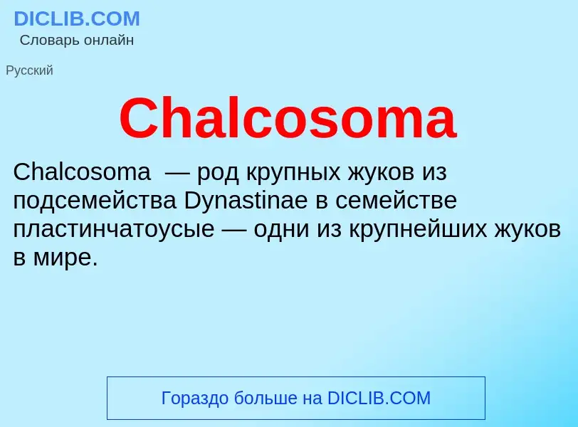 Что такое Chalcosoma - определение