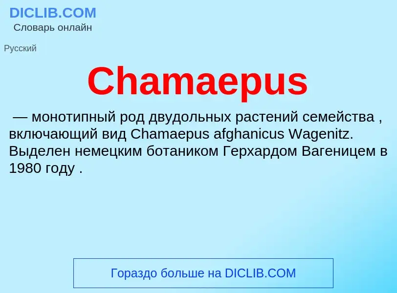 Что такое Chamaepus - определение