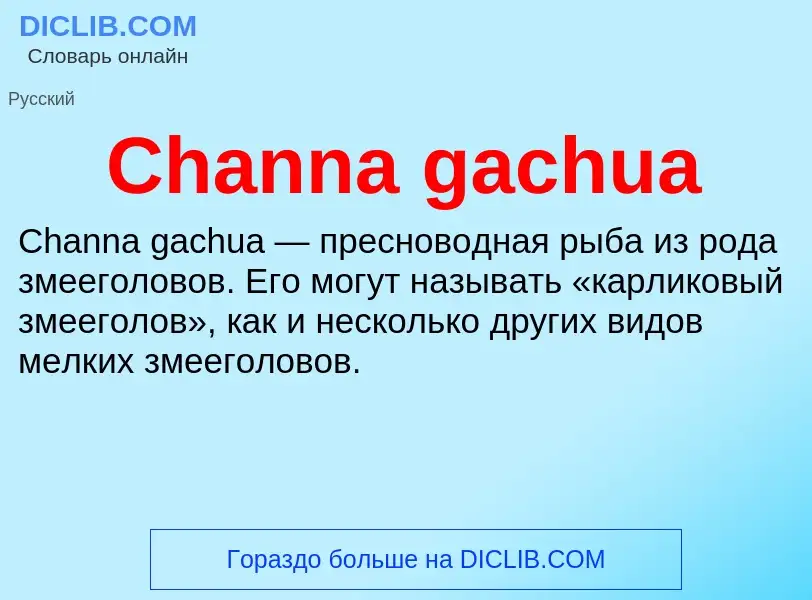 Что такое Channa gachua - определение