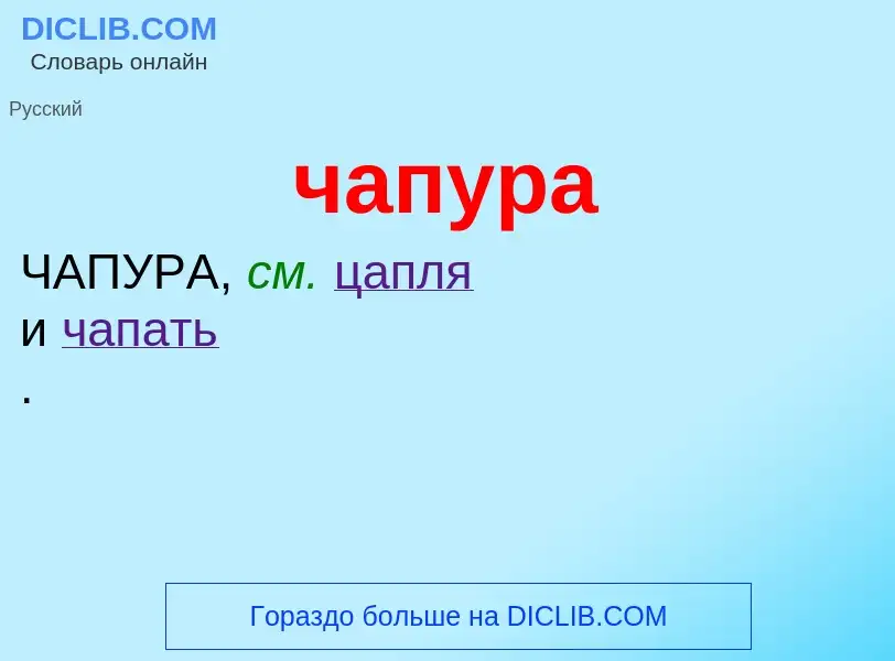 What is чапура - definition