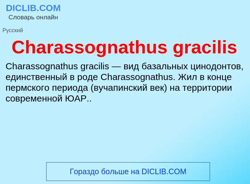 Что такое Charassognathus gracilis - определение