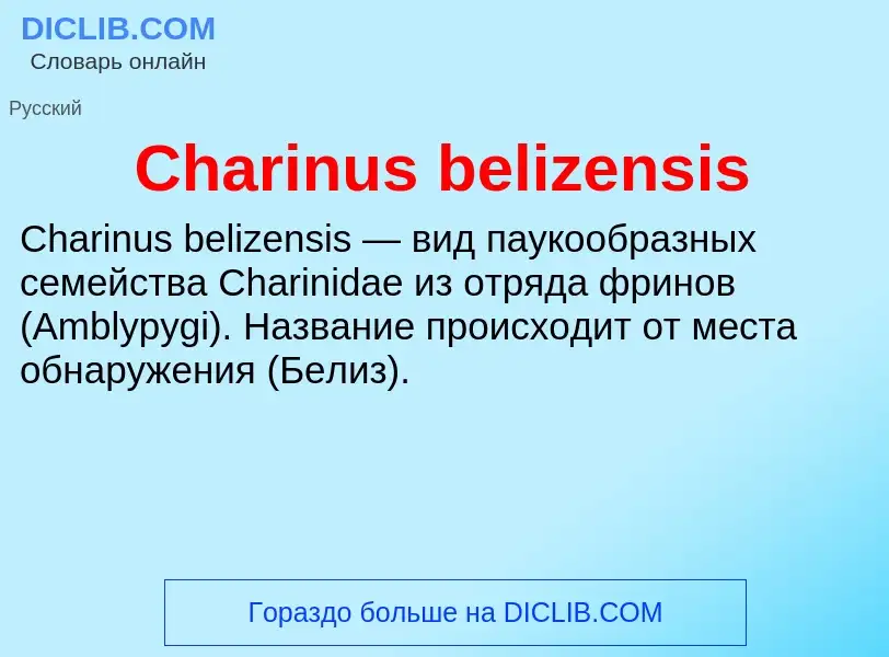 Что такое Charinus belizensis - определение