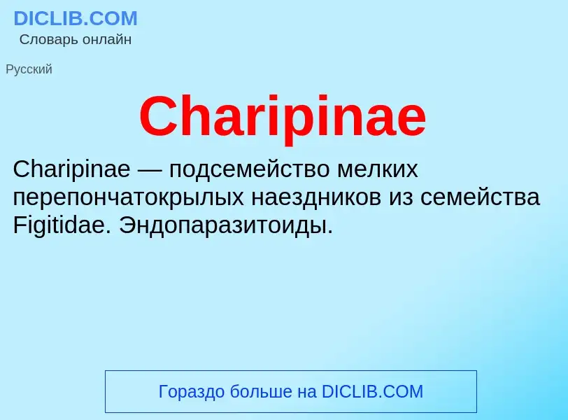 Что такое Charipinae - определение