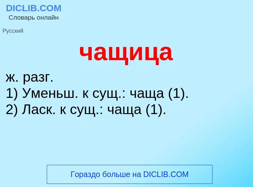 What is чащица - definition