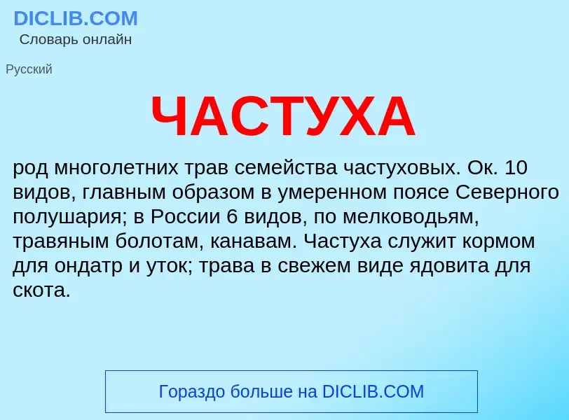 What is ЧАСТУХА - definition