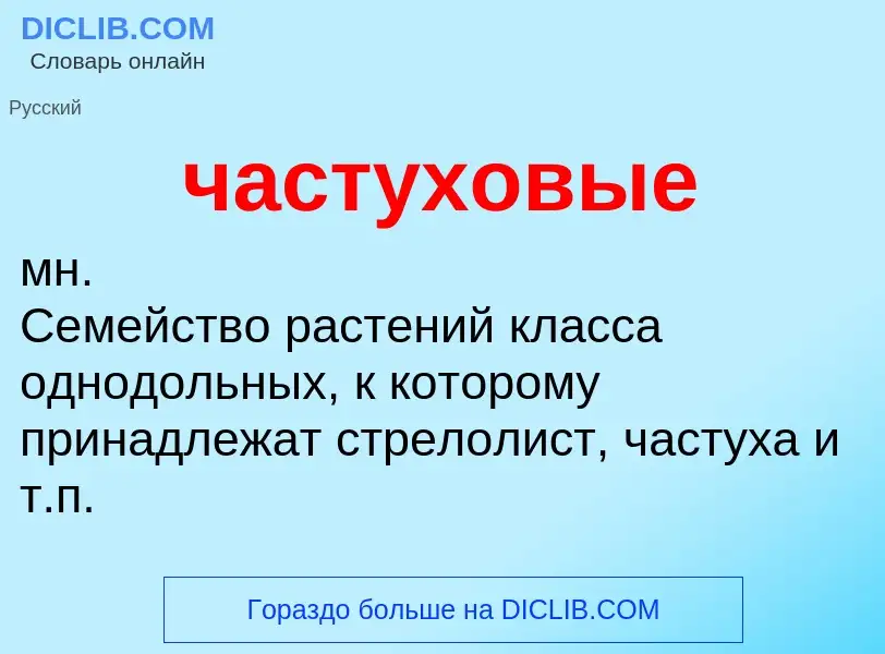 What is частуховые - definition