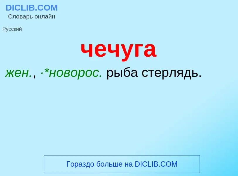 What is чечуга - definition