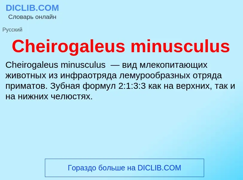 Что такое Cheirogaleus minusculus - определение