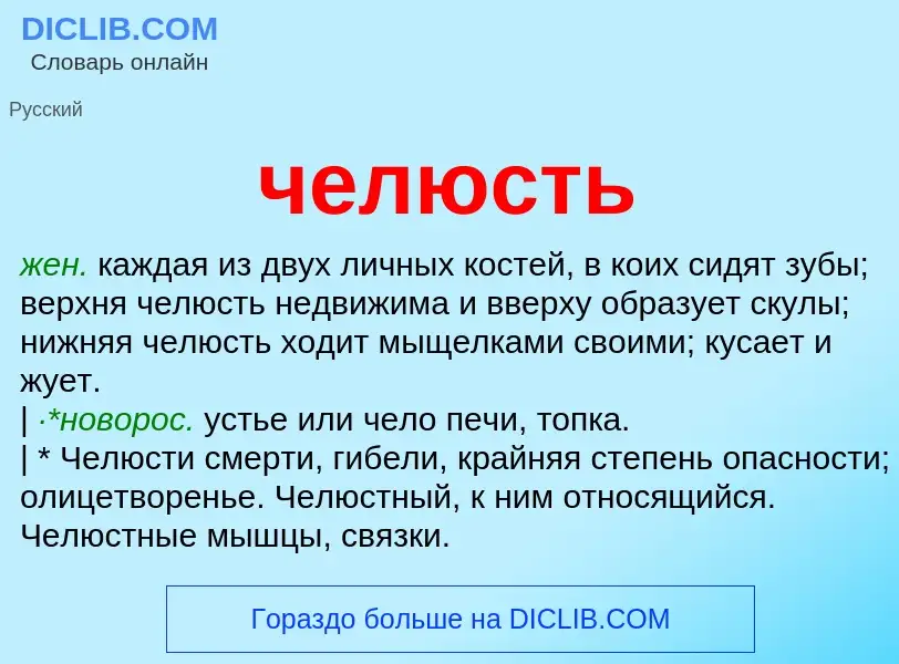 What is челюсть - definition