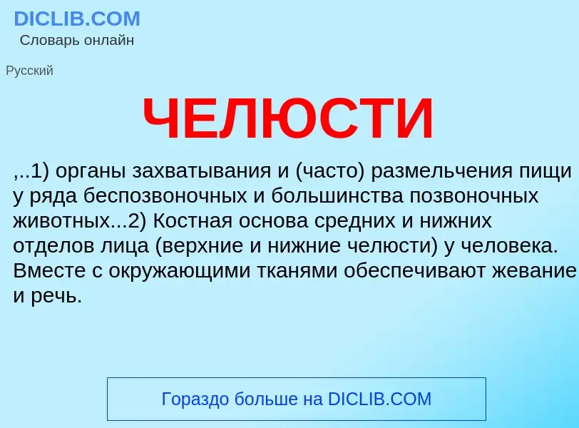 Wat is ЧЕЛЮСТИ - definition