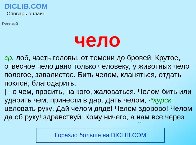 What is чело - definition