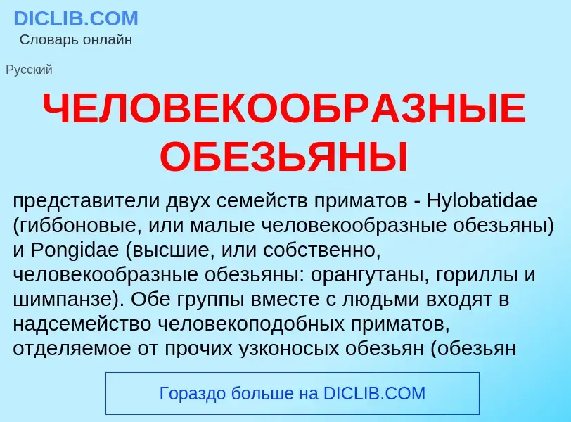 Что такое ЧЕЛОВЕКООБРАЗНЫЕ ОБЕЗЬЯНЫ - определение