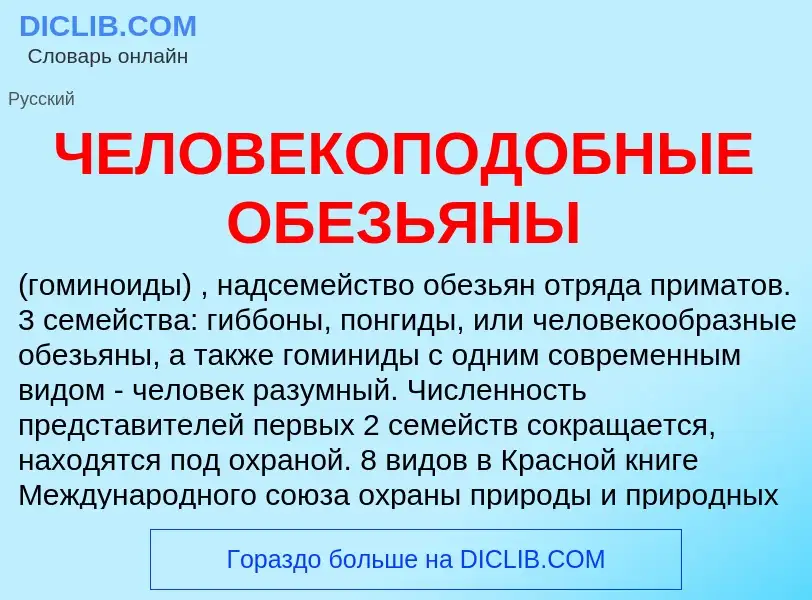 Что такое ЧЕЛОВЕКОПОДОБНЫЕ ОБЕЗЬЯНЫ - определение