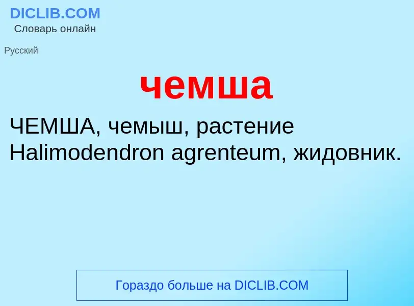 What is чемша - definition