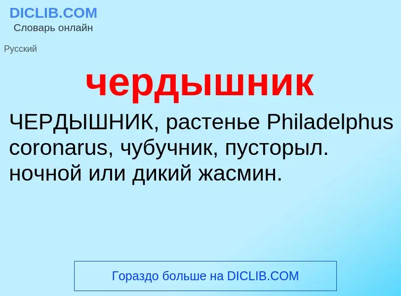 What is чердышник - definition