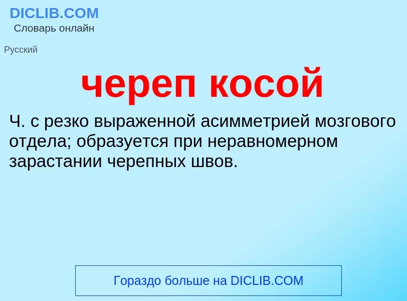 What is череп косой - definition