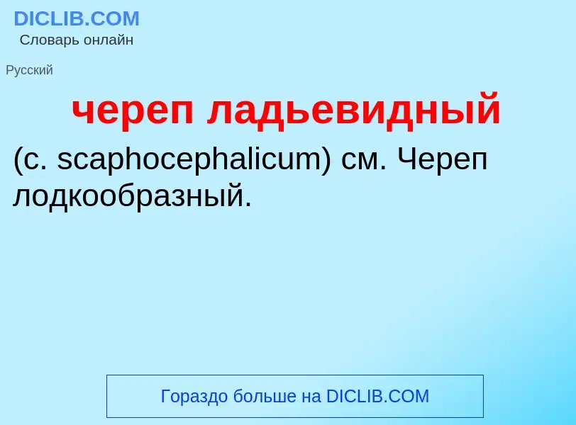 What is череп ладьевидный  - definition