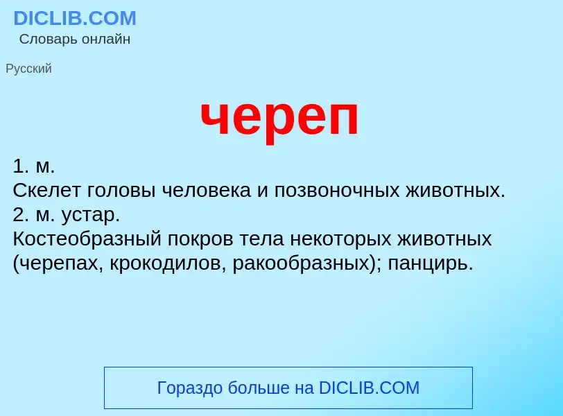 What is череп - definition