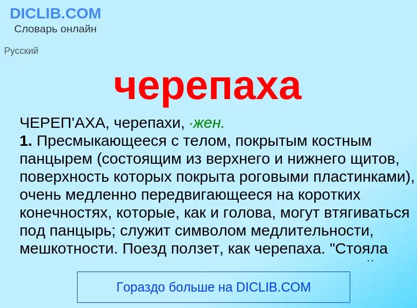 What is черепаха - definition