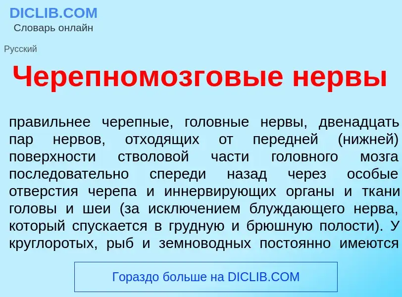 O que é Черепномозгов<font color="red">ы</font>е н<font color="red">е</font>рвы - definição, signifi