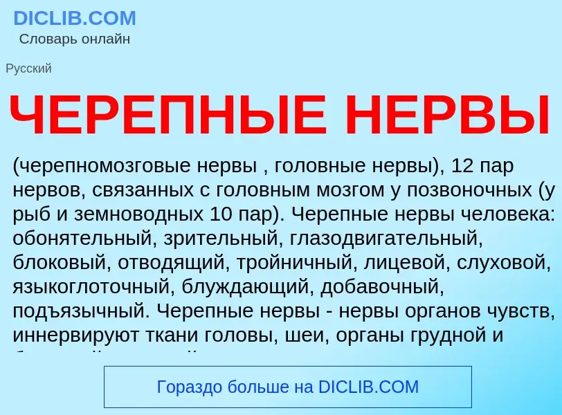 Что такое ЧЕРЕПНЫЕ НЕРВЫ - определение