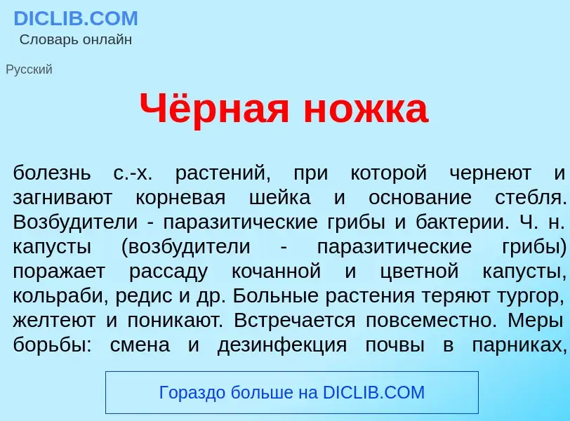 Что такое Чёрная н<font color="red">о</font>жка - определение