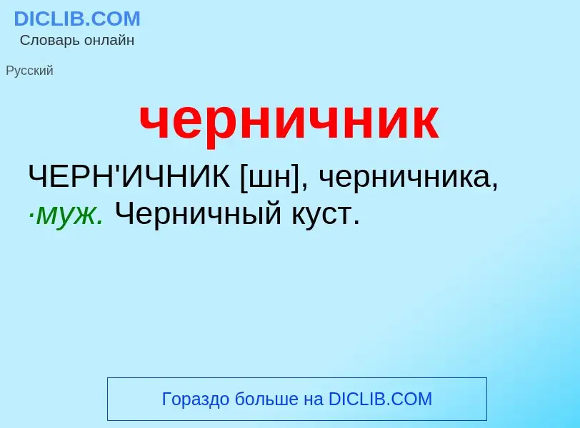 What is черничник - definition