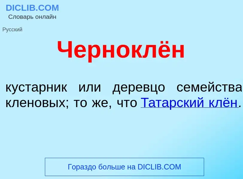 What is Черноклён - definition