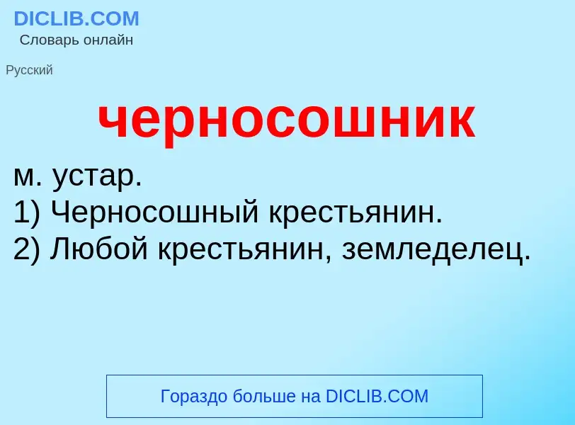 What is черносошник - definition