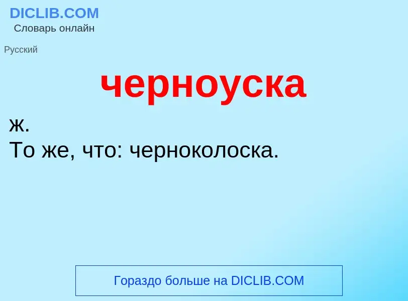 What is черноуска - definition