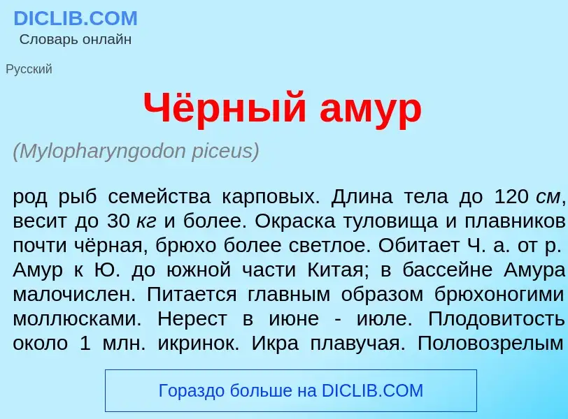 Qu'est-ce que Чёрный ам<font color="red">у</font>р - définition