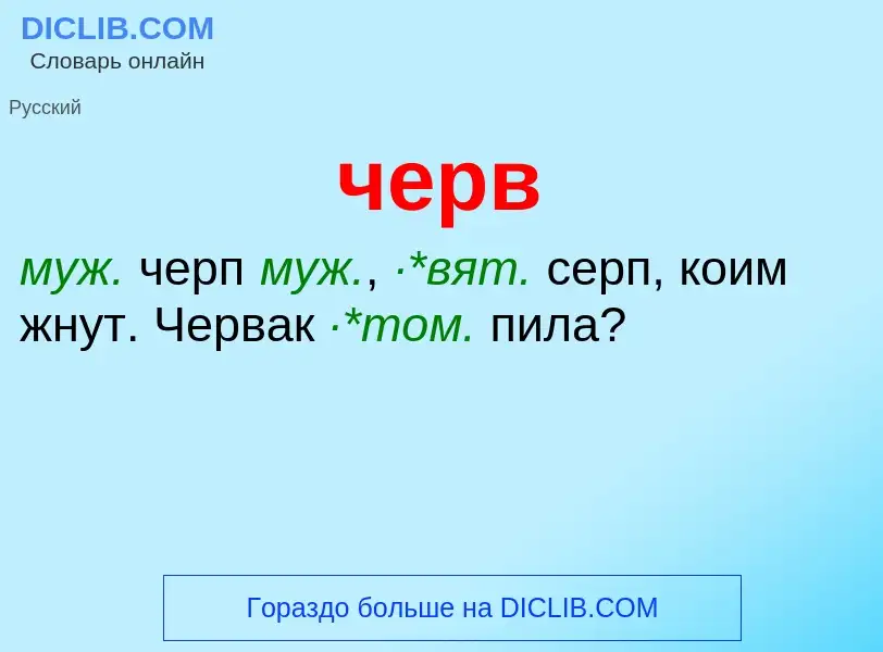 What is черв - definition