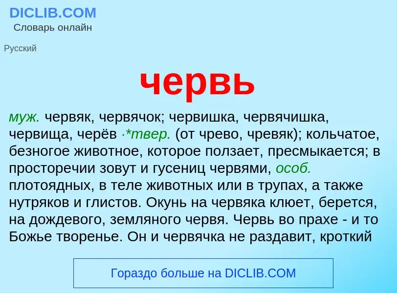 What is червь - definition