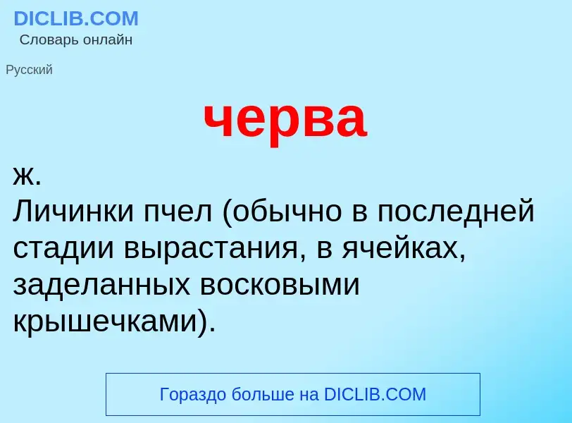 What is черва - definition