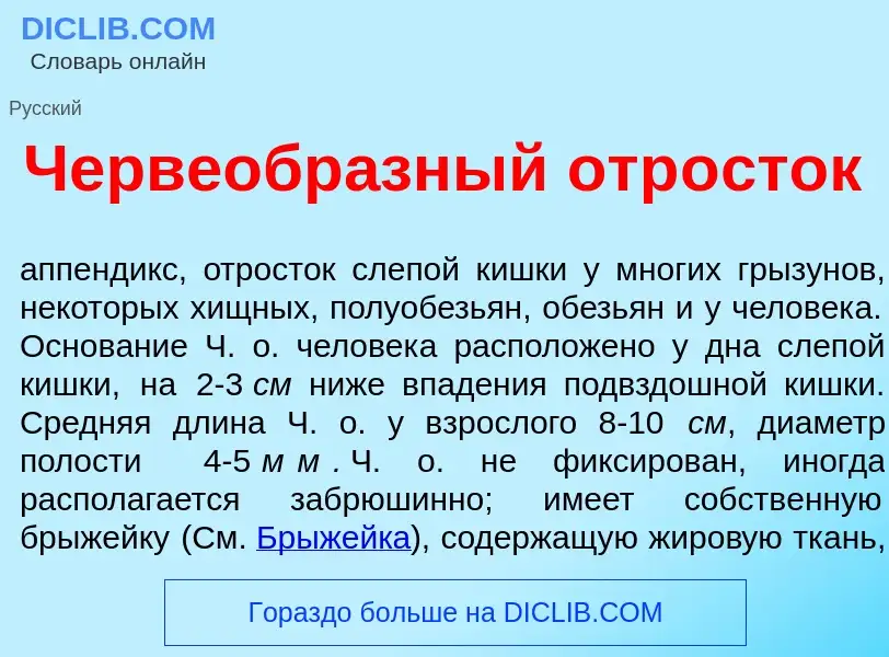 What is Червеобр<font color="red">а</font>зный отр<font color="red">о</font>сток - definition