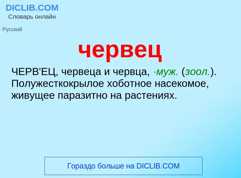 What is червец - definition