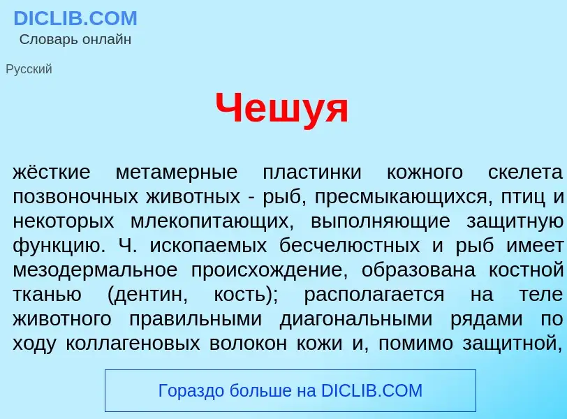 What is Чешу<font color="red">я</font> - definition