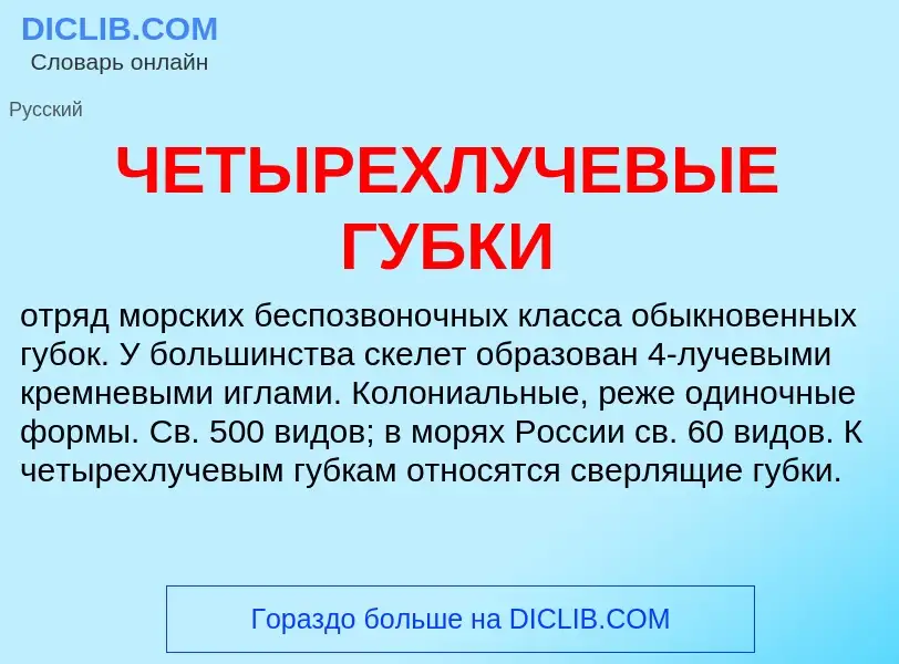 Что такое ЧЕТЫРЕХЛУЧЕВЫЕ ГУБКИ - определение