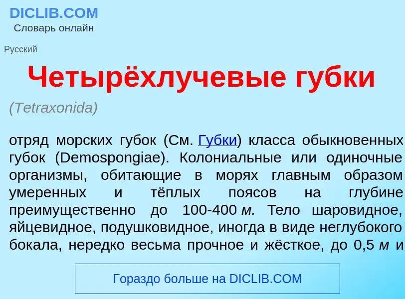 Что такое Четырёхлучев<font color="red">ы</font>е г<font color="red">у</font>бки - определение