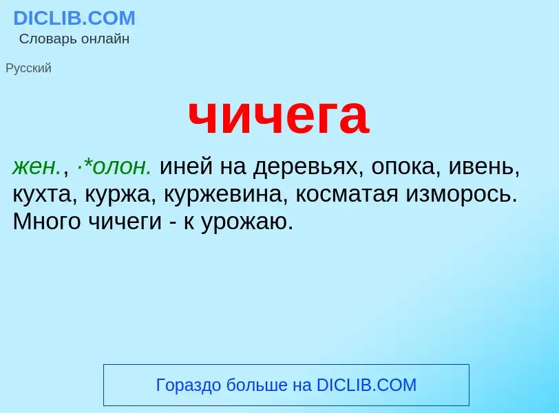 What is чичега - definition