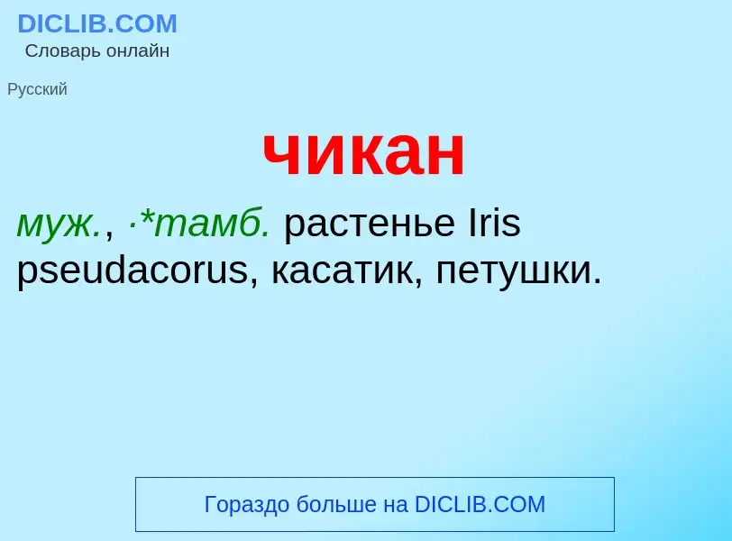 What is чикан - definition