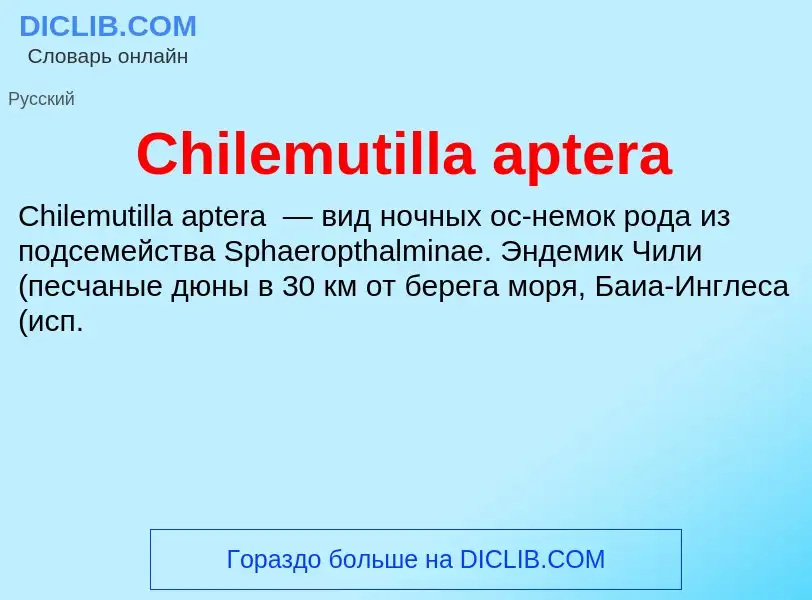 Что такое Chilemutilla aptera - определение