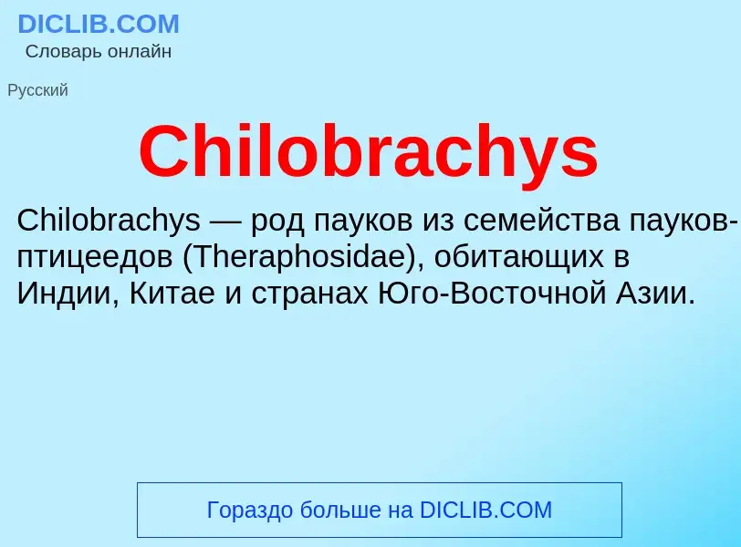 Что такое Chilobrachys - определение